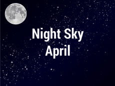 Night Sky April